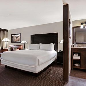Kamer met een King Size Bed met de Toegang voor Gehandicapten